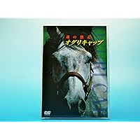 Amazon.co.jp: 白の時間 名馬オグリキャップ引退後二十年の日々 : 内藤